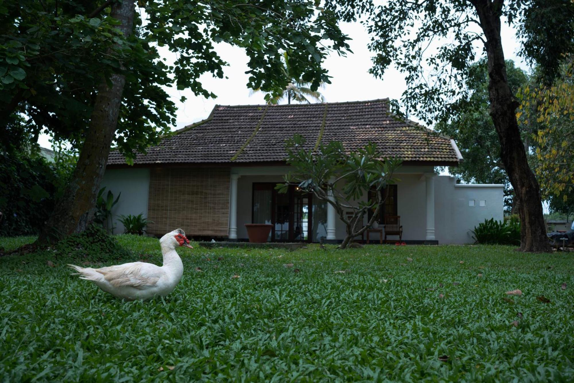 Olam On The Lake Hotel Kochi Eksteriør billede